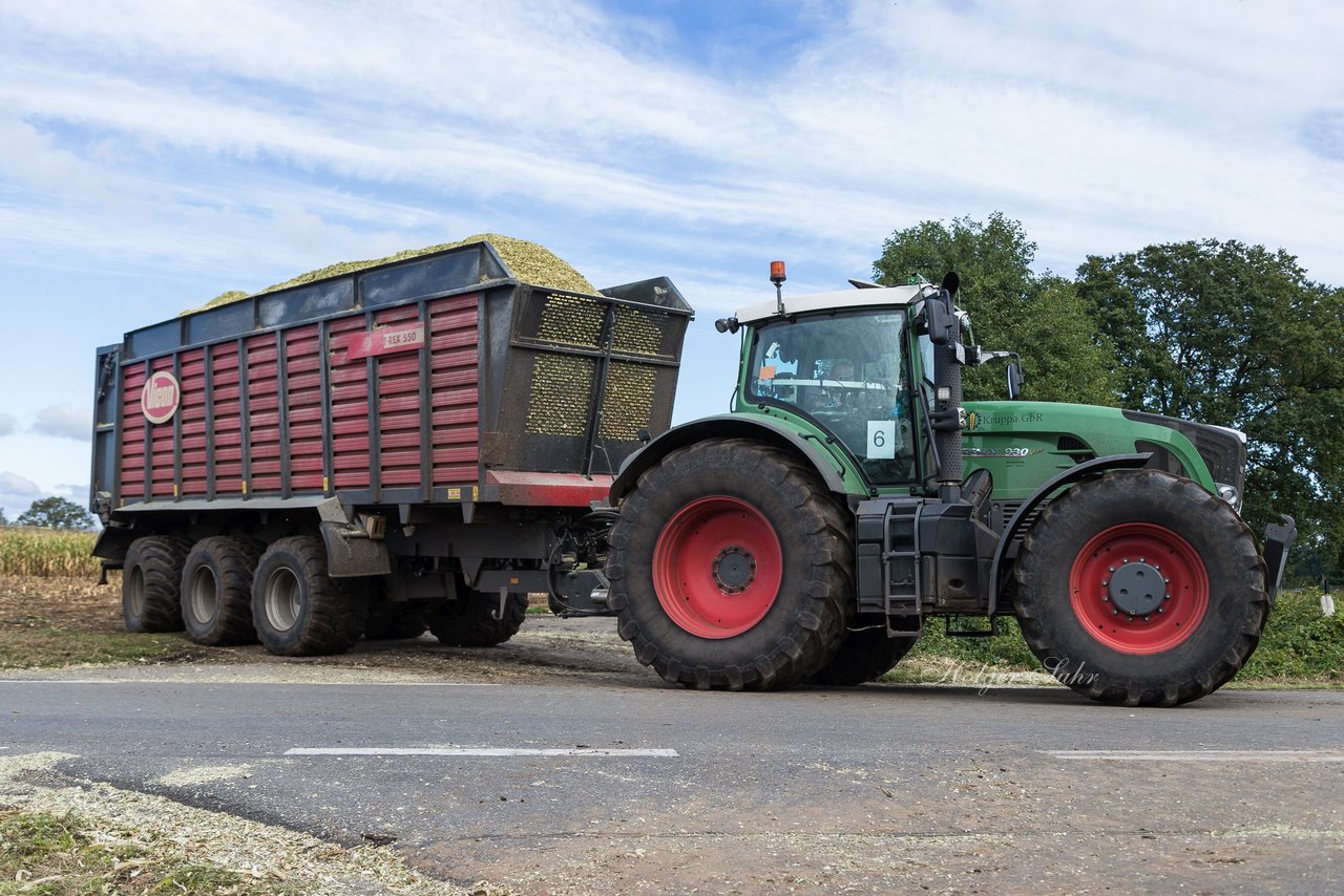 Bild 156 - Maisernte